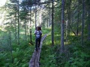 Jetzt weiß ich, wie schwer meine Pferde immer zu tragen haben... :) 