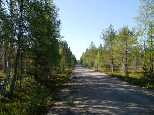 ca 16 Kilometer nur dieses Bild und kein Mensch außer uns...