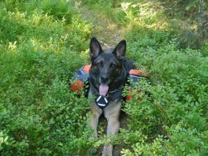 Queeny trägt mühelos ihre Sachen selbst