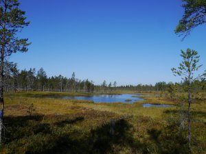 Teilweise bekommen wir nasse Schuhe...