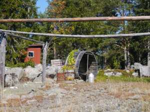 Hier wächst sogar Wein :)